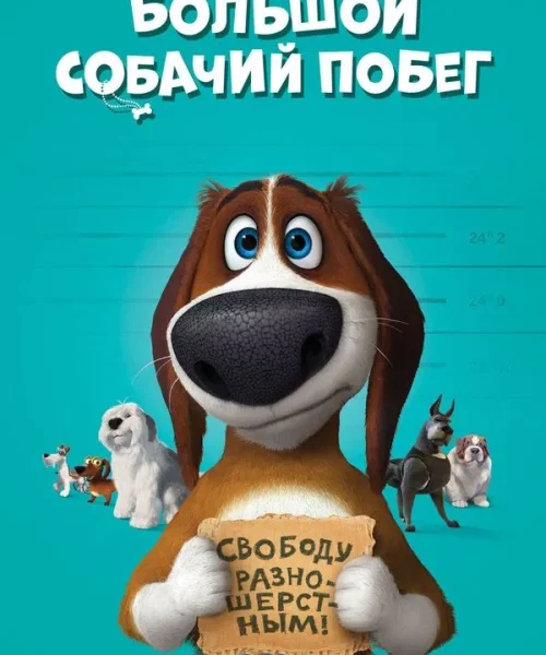 Большой собачий побег